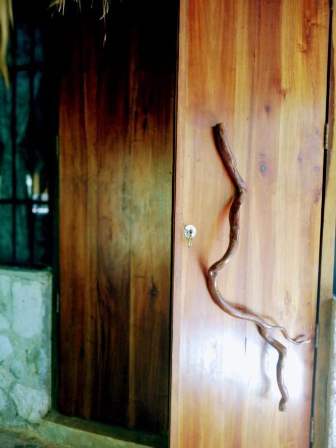 Ecolodge Uh May Francisco Uh May Zewnętrze zdjęcie