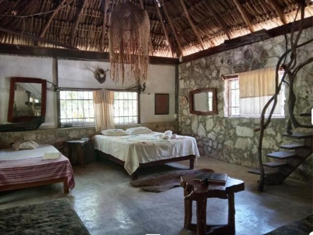 Ecolodge Uh May Francisco Uh May Zewnętrze zdjęcie